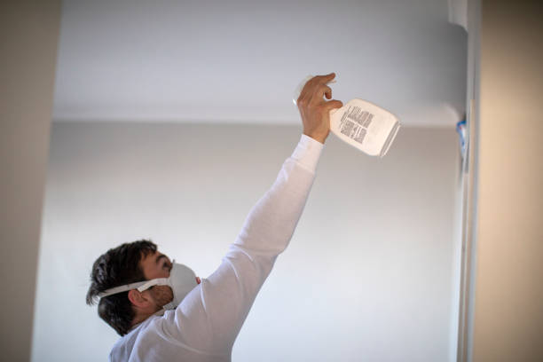 Copiague, NY Mold Removal Company