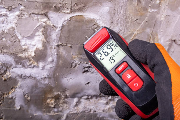 Best Professional Mold Removal  in Copiague, NY