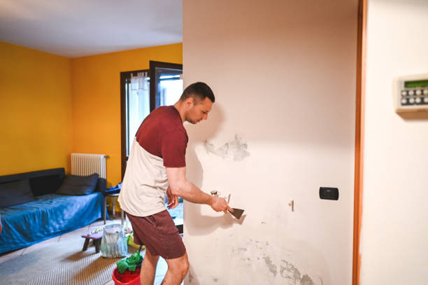 Best Certified Mold Removal  in Copiague, NY