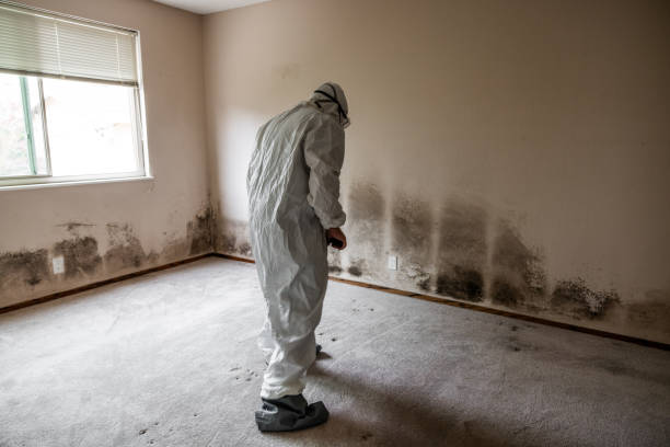 Crawl Space Mold Removal in Copiague, NY
