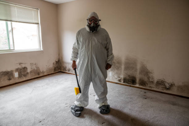 Best Residential Mold Removal  in Copiague, NY